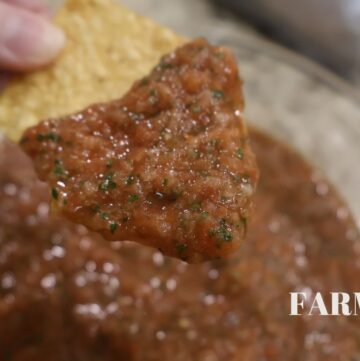 mild salsa on tortilla chip