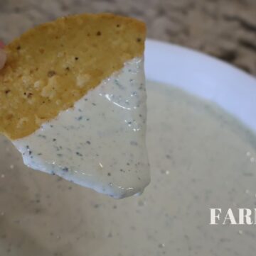 chip dipped in chuys creamy jalapeno recipe dip