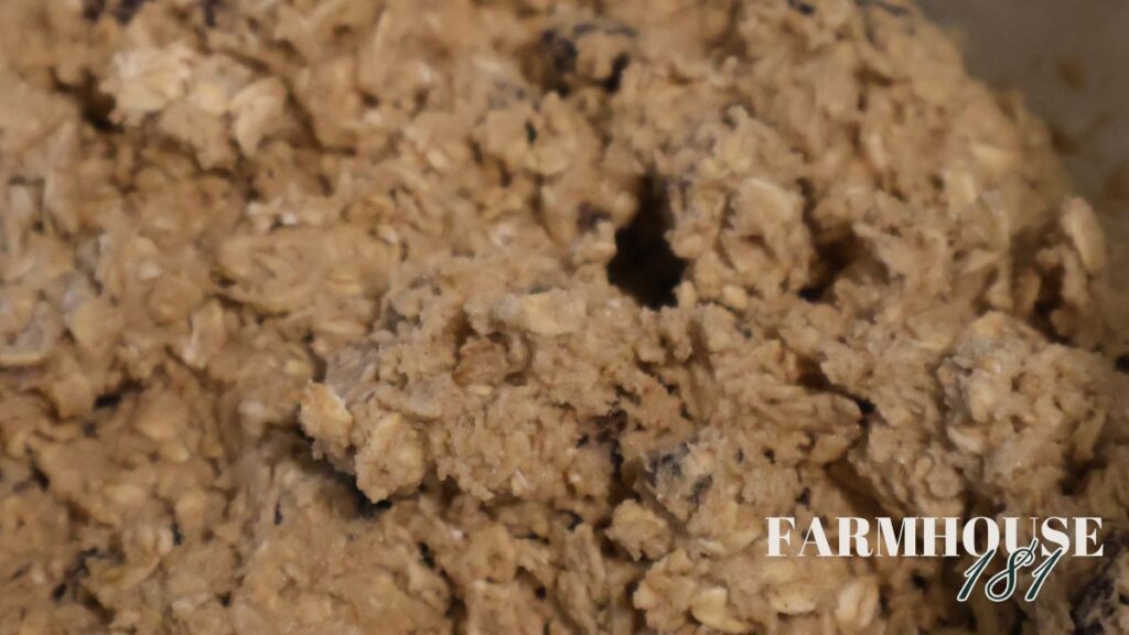 quaker oats vanishing oatmeal raisin cookie dough close up