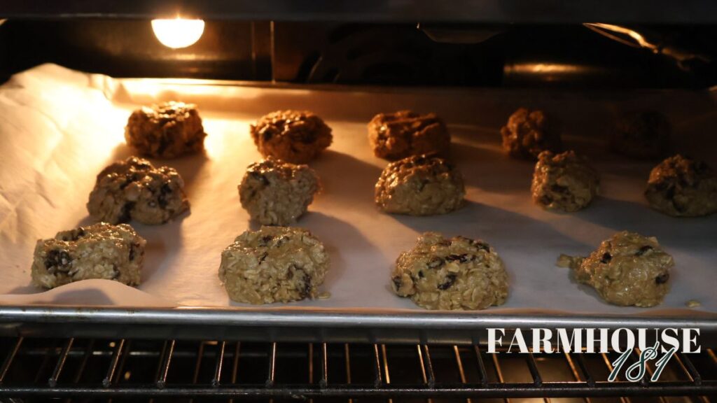 oatmeal raisin cookies baking in oven