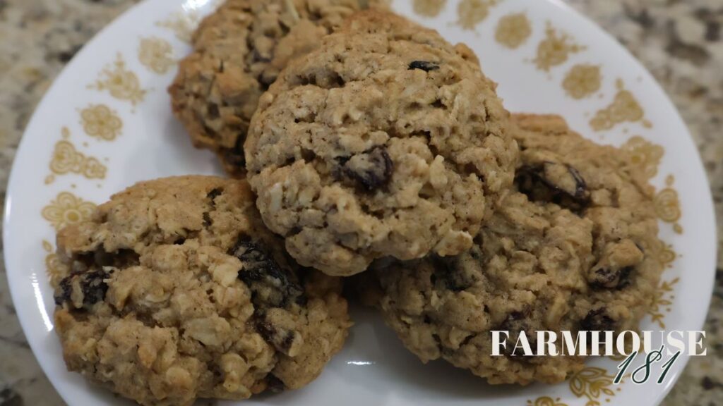 small oatmeal raisin cookies on plate