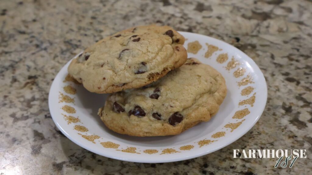 2 chocolate chip cookies on a plate