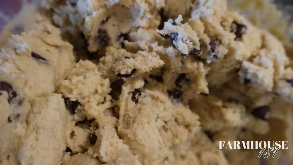 chocolate chip cookie dough close up