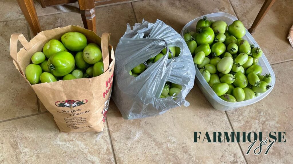 green tomatoes in bags