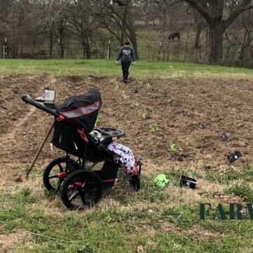 woman planting in ground garden with baby in stroller parked beside it