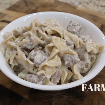beef stroganoff in bowl