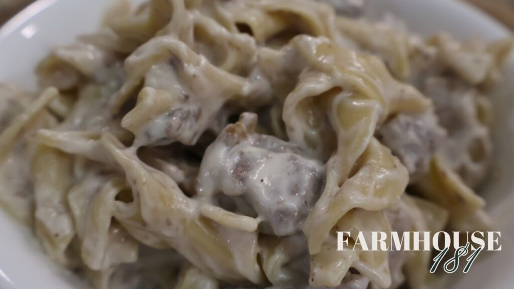 zoomed in shot of stroganoff