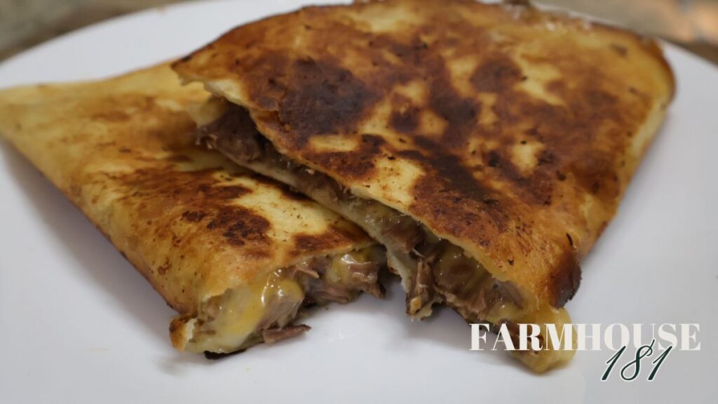 beef barbacoa quesadilla on plate
