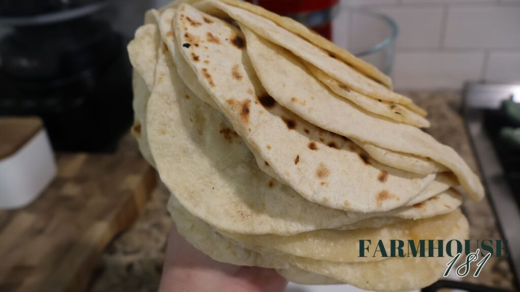 stack of tortillas held up for photo